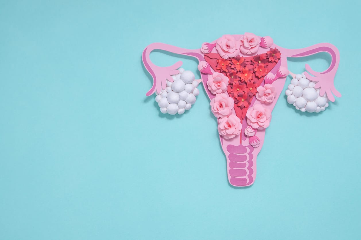 6424c1eae930e9d2e7bd699e iStock 1211550348